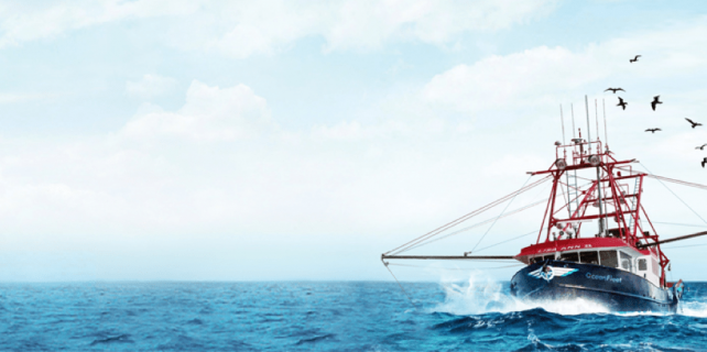 Oceanfleet - qpsoftware- ecommerce