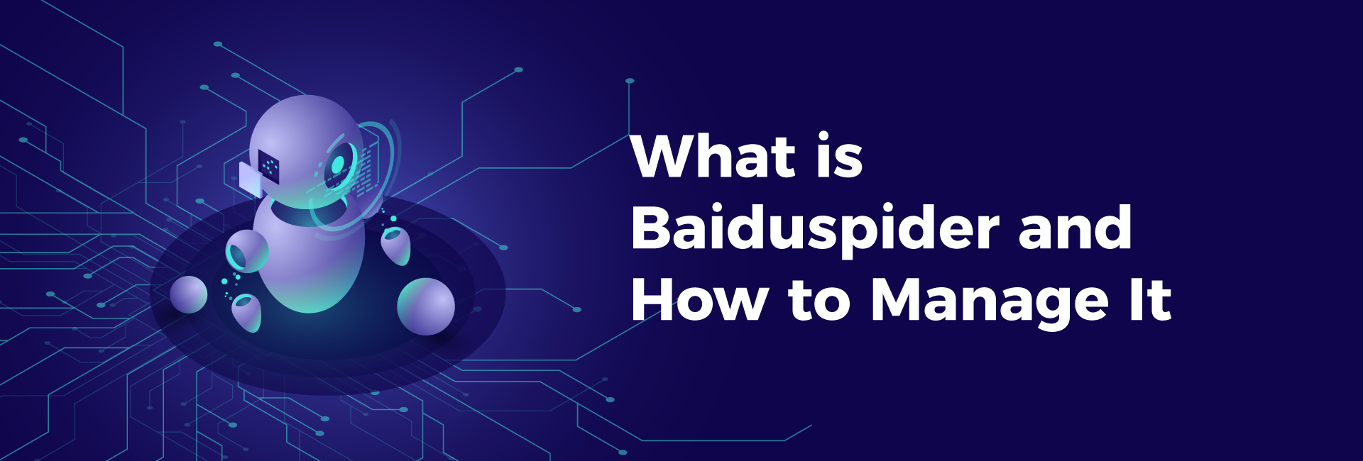 What is Baiduspider and How to Manage It