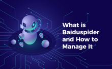 What is Baiduspider and How to Manage It